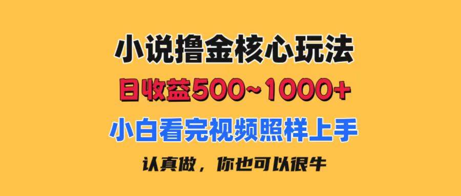 小说撸金核心玩法，日收益500-1000+，小白看完照样上手，0成本有手就行-盈途副业网