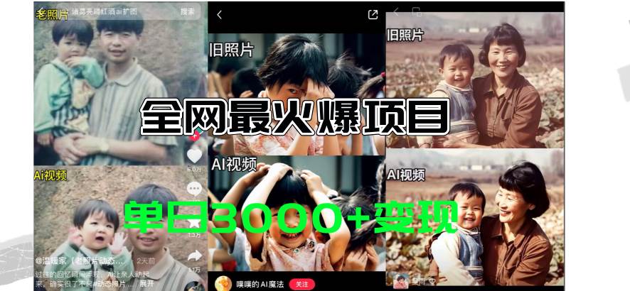 全网爆火的AI让老照片动起来教程，蹭热点日赚3000+，内含免费工具一键…-盈途副业网