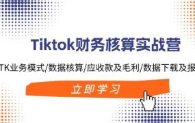 Tiktok财务核算实战营:TK业务模式/数据核算/应收款及毛利/数据下载及报表-盈途副业网
