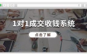 1对1成交 收钱系统,十年专注于引流和成交,全网130万+粉丝-盈途副业网
