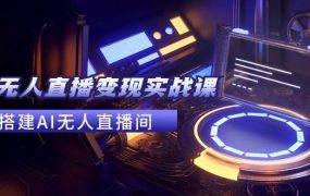 2024全套Ai无人直播变现实战课,搭建AI无人直播间,利用AI赚钱 (24节课)-盈途副业网