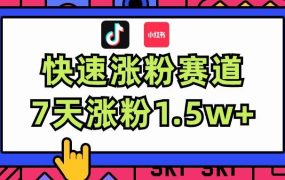 涨粉超快蓝海赛道!轻松伪原创,7天涨粉1.5w+-盈途副业网