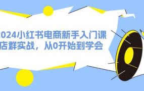 2024小红书电商新手入门课,店群实战,从0开始到学会(31节)-盈途副业网