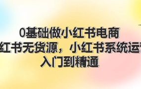 0基础做小红书电商,小红书无货源,小红书系统运营,入门到精通 (70节)-盈途副业网