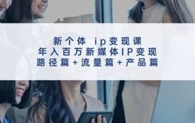 新个体 ip变现课,年入百万新媒体IP变现,路径篇+流量篇+产品篇-盈途副业网