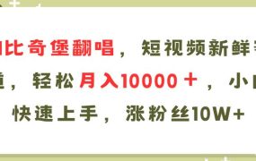 AI比奇堡翻唱歌曲,短视频新鲜赛道,轻松月入10000+,小白快速上手,...-盈途副业网