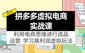 拼多多虚拟电商实战课:利用电商思维进行选品+运营,学习高利润虚拟玩法-盈途副业网