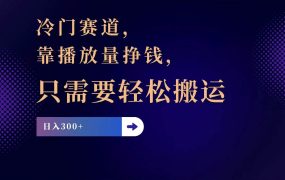 冷门赛道,靠播放量挣钱,只需要轻松搬运,日赚300+-盈途副业网