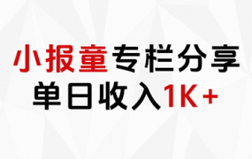 小报童专栏分享,当日收入1K+-盈途副业网