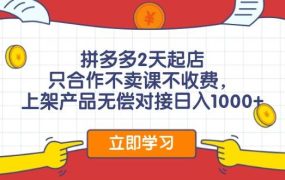 拼多多2天起店,只合作不卖课不收费,上架产品无偿对接日入1000+-盈途副业网