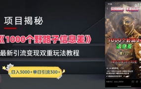 抖音一千个野路子信息差最新玩法教程-变现+引流的玩法具体拆解-盈途副业网