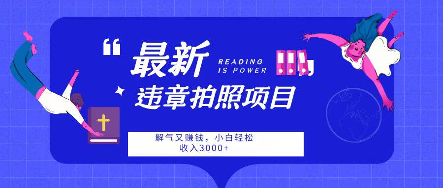 最新违章拍照项目，解气又赚钱，随手一拍，轻松收入3000-盈途副业网
