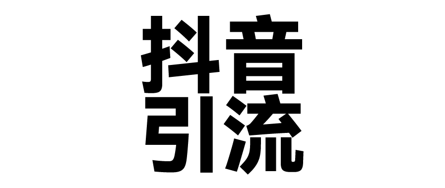 2025年抖音最新暴力引流法，只需一个视频加一段文字，简单操作，单日引300+创业粉-盈途副业网