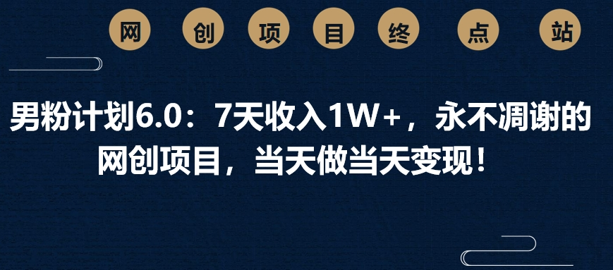 男粉计划6.0：7天收入1W+，永不凋谢的网创项目，当天做当天变现！-盈途副业网