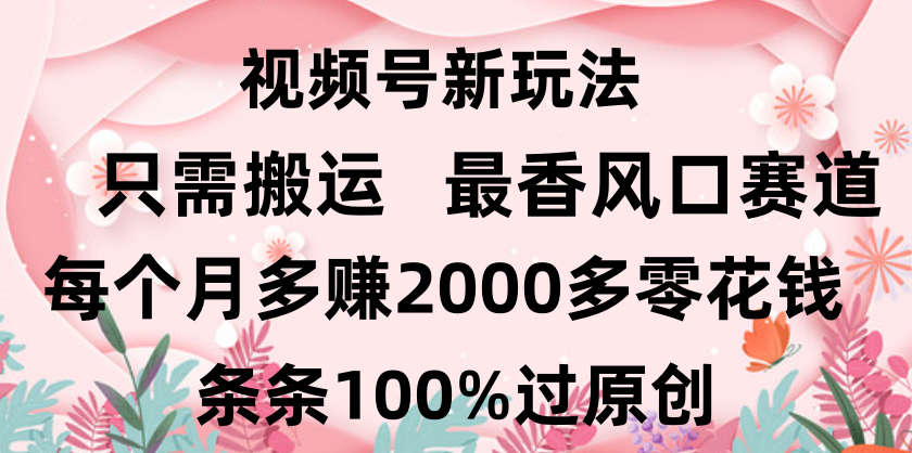日入2000+，条条100%过原创，视频号最香风口赛道，小白轻松上手-盈途副业网