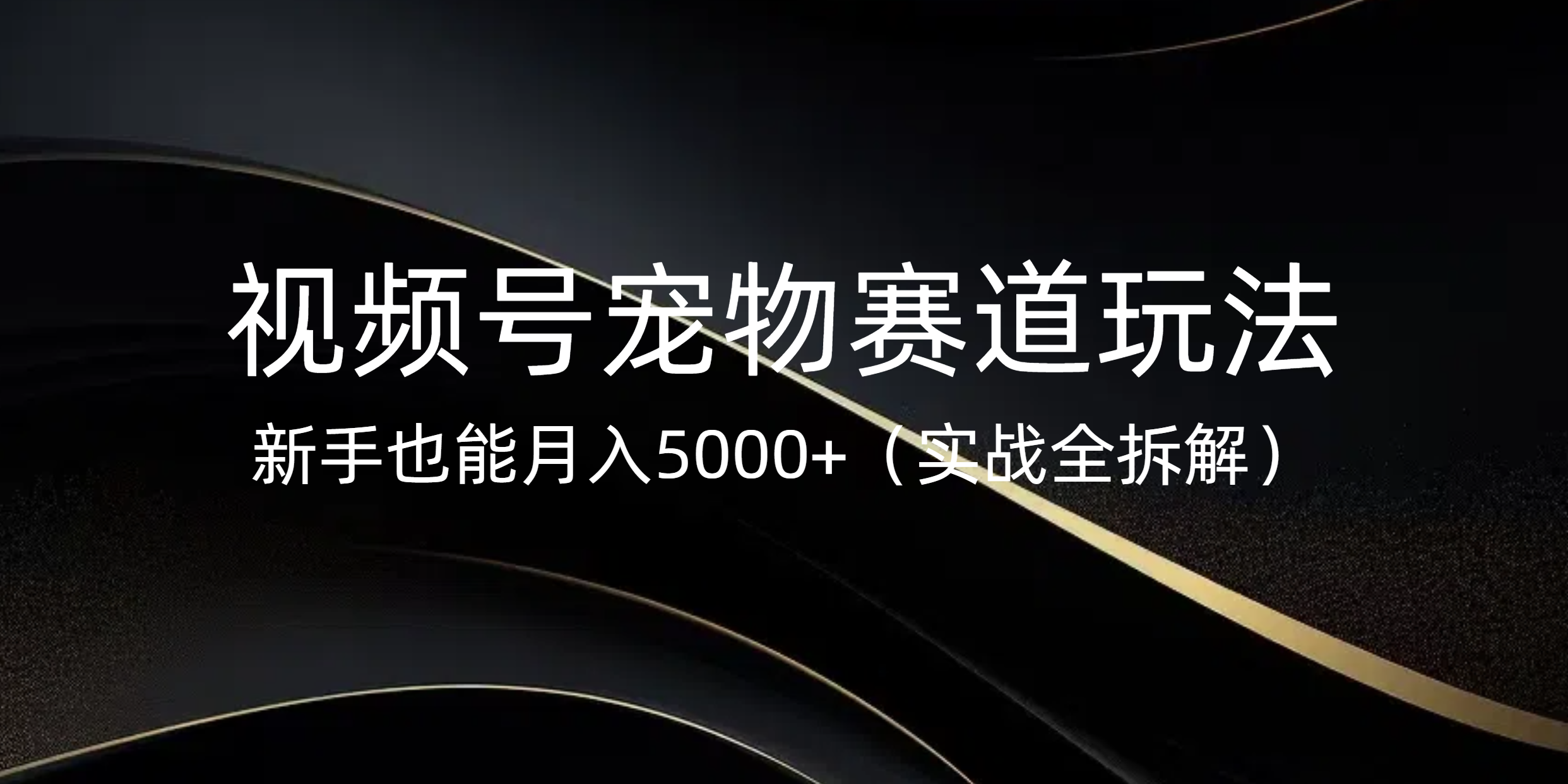 视频号宠物赛道玩法，新手也能月入5000+（实战全拆解）-盈途副业网