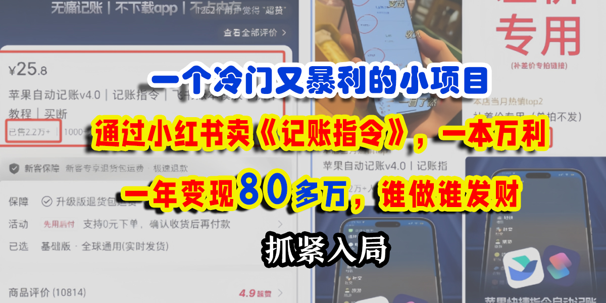 一个冷门又暴利的小项目，通过小红书卖《记账指令》，一本万利，一年变现80多万，谁做谁发财-盈途副业网