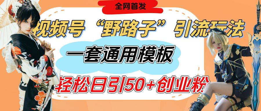 视频号“野路子”玩法，评论区疯狂截流，一套模板单日单号引流50+创业粉-盈途副业网
