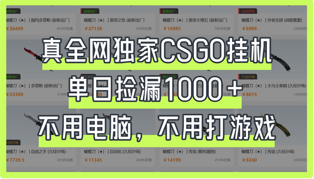 真全网独家CSGO挂机，单日捡漏1000+-盈途副业网