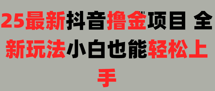 25最新抖音直播撸金项目，小白也能轻松上手！-盈途副业网