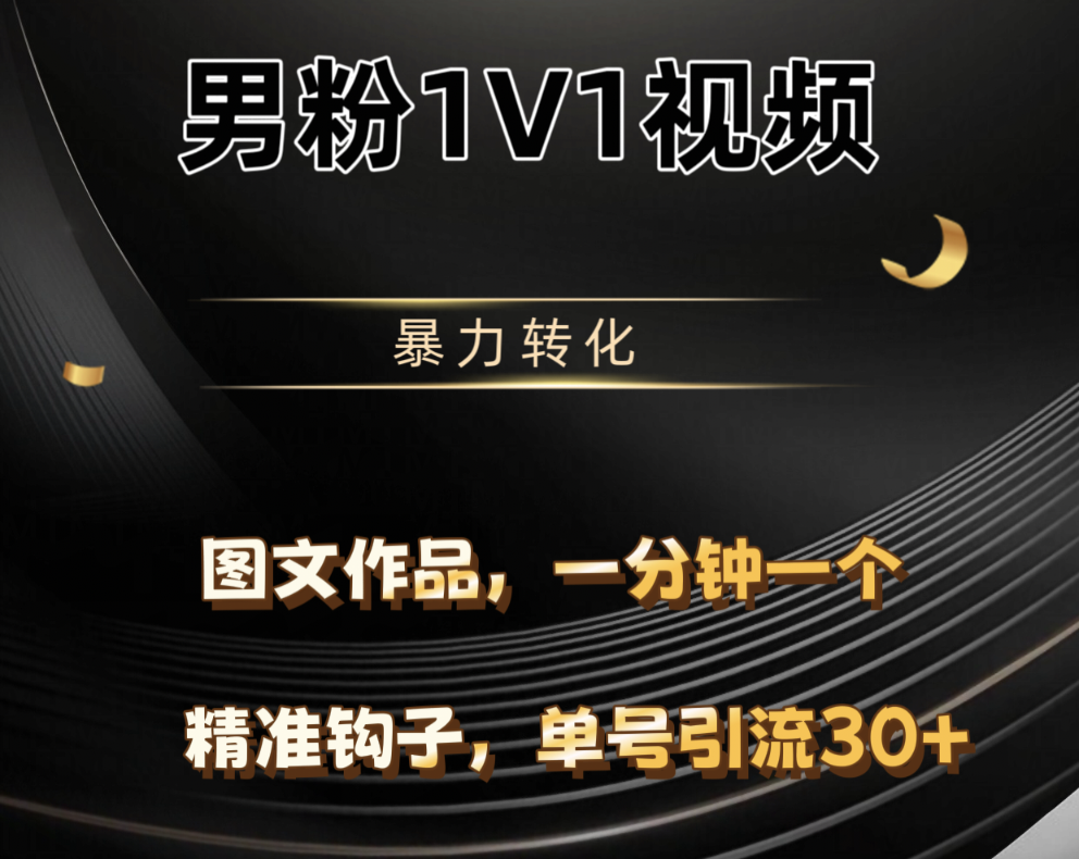 男粉1V1视频，硬改摄像头，高客单暴力转化，单日600+-盈途副业网
