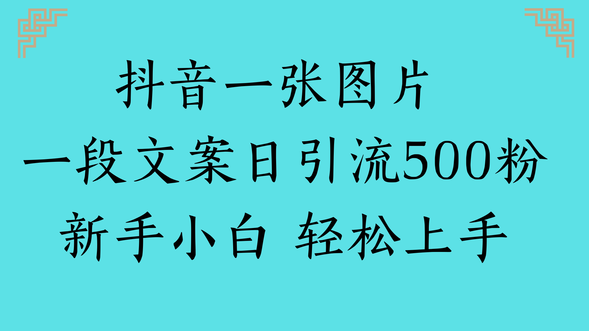 抖音一张图片 一段文案日引流500粉新手小白 轻松上手-盈途副业网