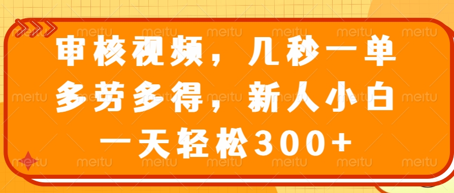 视频审核员，几秒一单，多劳多得，新人小白一天轻松300+-盈途副业网