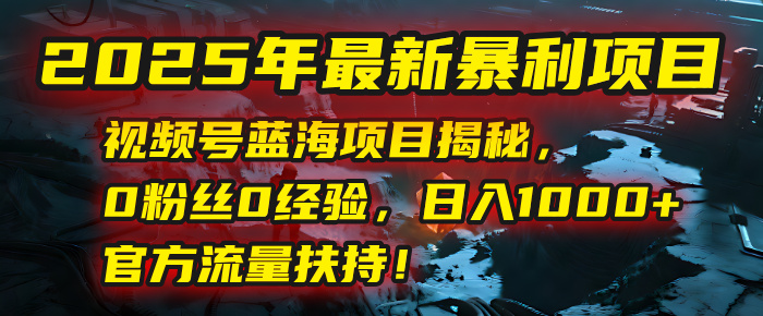 2025年最新暴利项目：视频号蓝海项目揭秘，0粉丝0经验，日入1000+，官方流量扶持！-盈途副业网