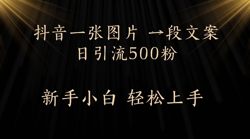抖音一张图片，一段文案日引流500粉，新手小白 轻松上手-盈途副业网