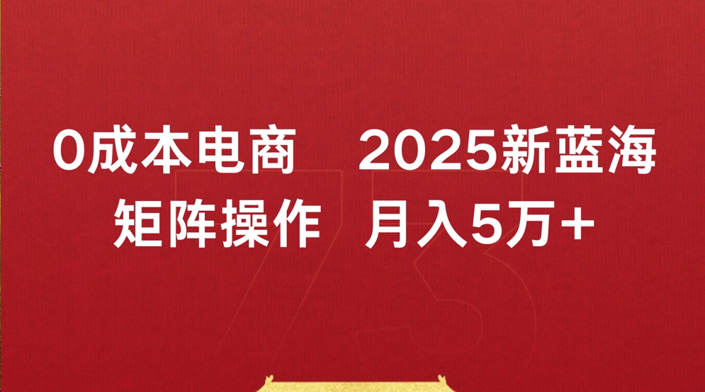 0成本电商2025新蓝海矩阵操作 月入5万+-盈途副业网