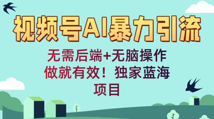 视频号AI暴力引流：无需后端+无脑操作，做就有效！独家蓝海项目-盈途副业网