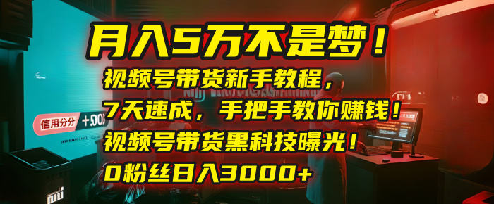 月入5万不是梦！视频号带货新手教程，7天速成，手把手教你赚钱！视频号带货黑科技曝光！0粉丝日入3000+-盈途副业网