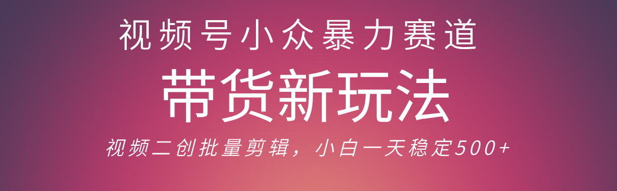 视频号小众暴力赛道，最新带货玩法 小白也能轻松日入500+ 保姆及教程-盈途副业网