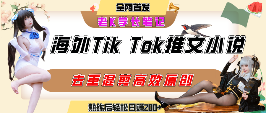 海外tiktok小说推文暴力项目，高停留率，高转化率，上手后一天搞顿饭钱不是问题-盈途副业网