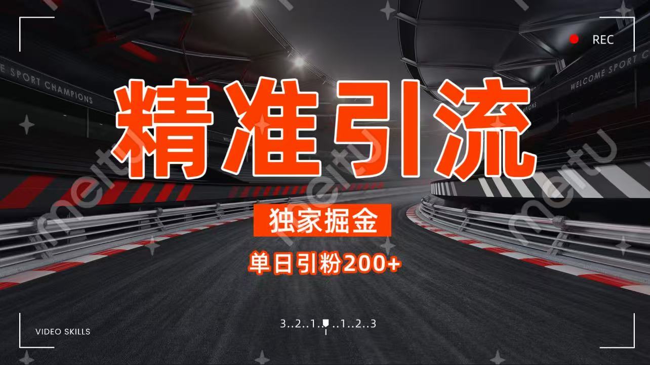 独家野路子精准引流 每日200+-盈途副业网