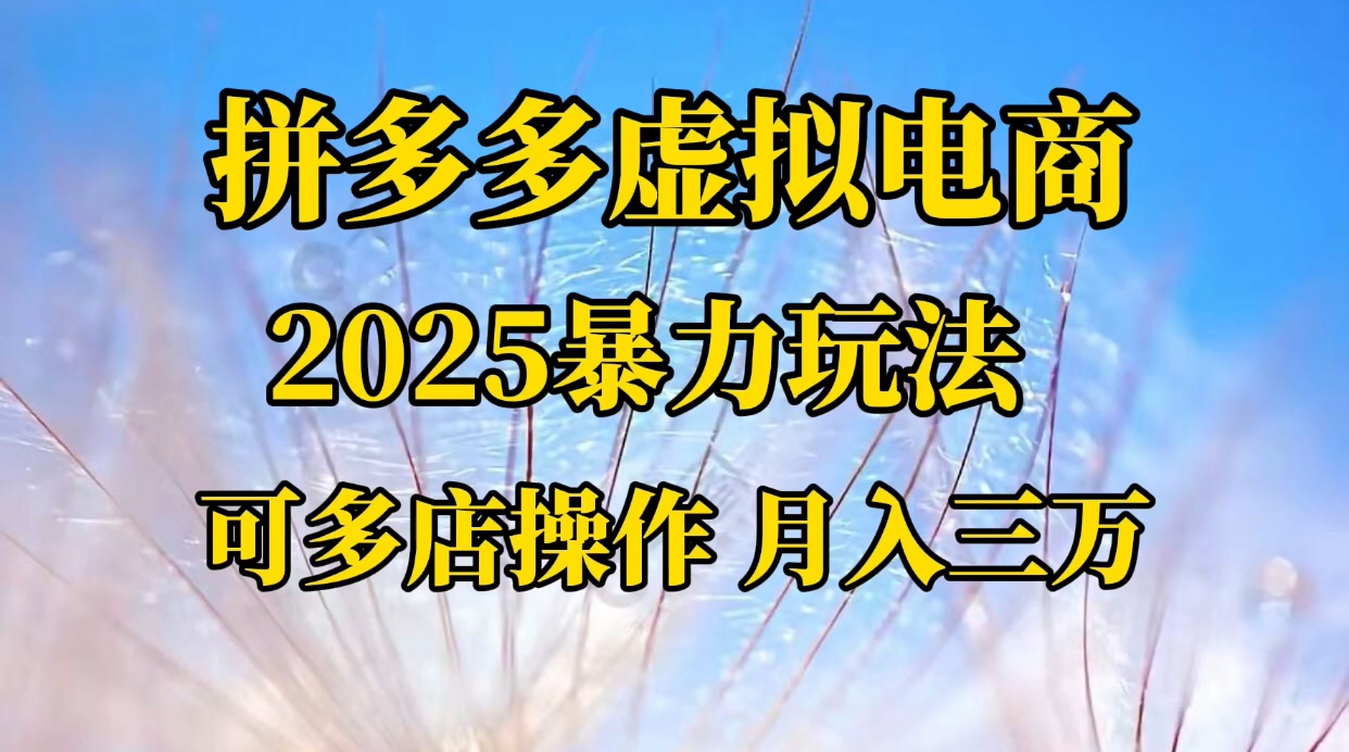 拼多多虚拟电商，不囤货不垫资的虚拟电商-盈途副业网