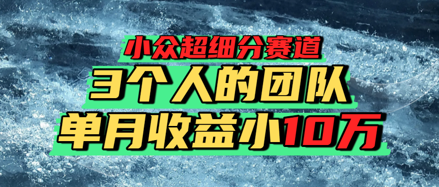 小众超细分赛道，一年百万利润的盘子！-盈途副业网