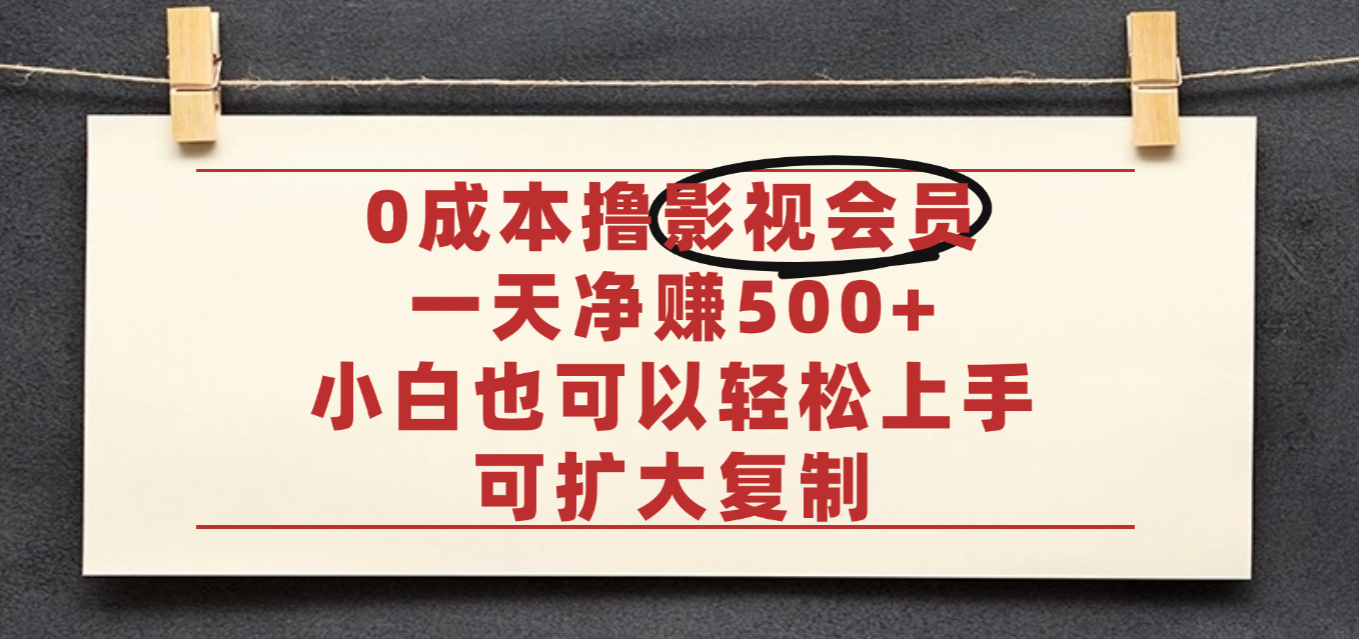 亲测,0成本可批量操作,靠卖影视会员实测月入30000+-盈途副业网