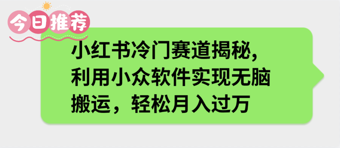 小红书冷门赛道揭秘,利用小众软件实现无脑搬运，轻松月入过万-盈途副业网