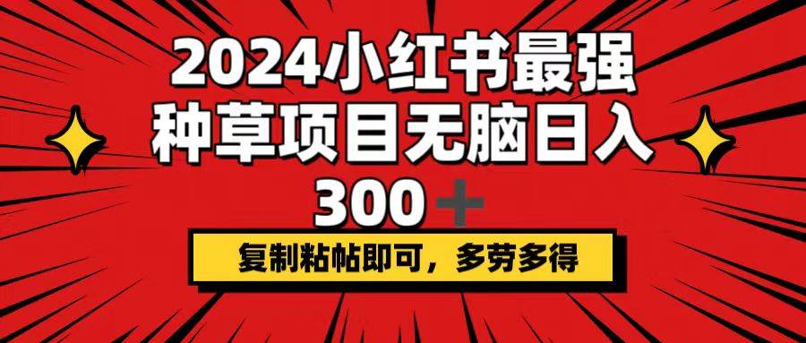 2024小红书最强种草项目，无脑日入300+，复制粘帖即可，多劳多得-盈途副业网
